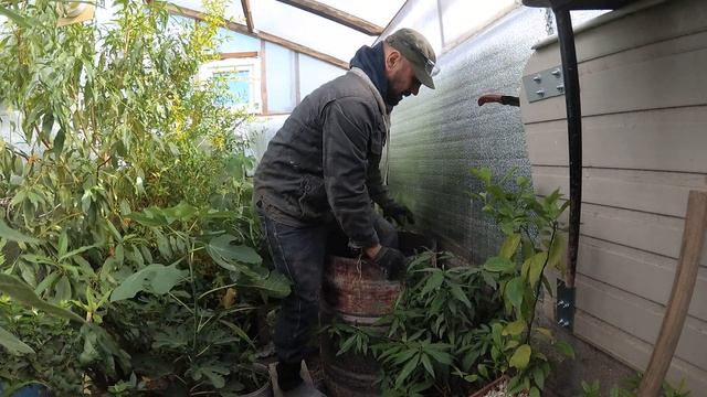 Биопечка в теплицу смотреть онлайн