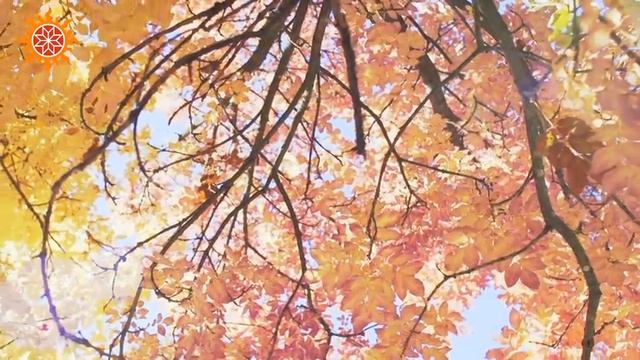 Славянский календарь /Коляды ДарЪ. Откуда взялся 7530 лето от С.М.З.Х вместо 2022 года? смотреть онлайн