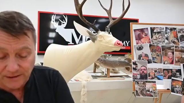 Learn Taxidermy: Mounting a Mule Deer Part 2 смотреть онлайн