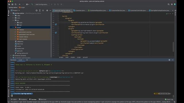 Spring Boot 3 Spring Native GraalVM with Kubernetes & Istio смотреть онлайн