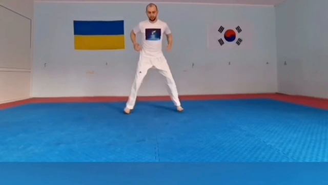 Тренировка Тхеквондо в домашних условиях. смотреть онлайн