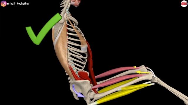 Подъём ног на турнике смотреть онлайн