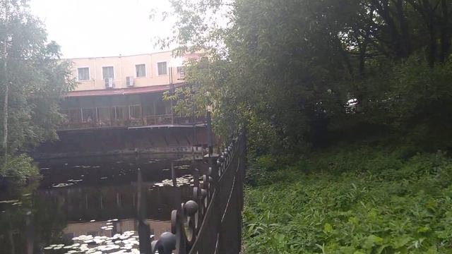 Дружба орла с бобром. смотреть онлайн