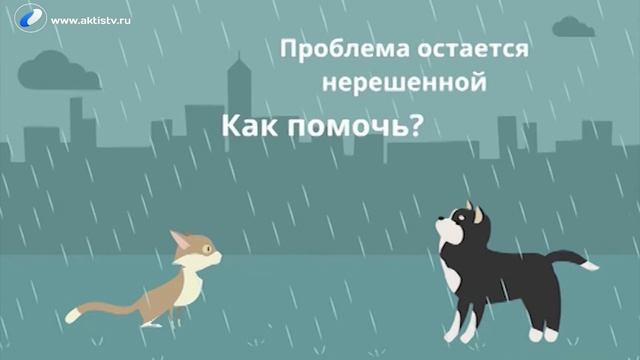 Всемирный день защиты животных смотреть онлайн