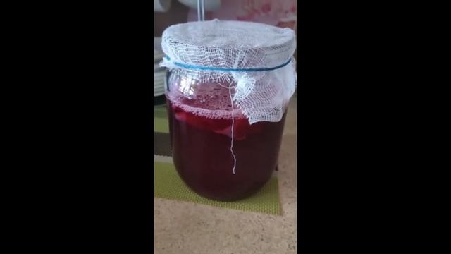 Рецепты из комбучи (чайного гриба), которых Вы не пробовали. Девиация из прошлого. смотреть онлайн