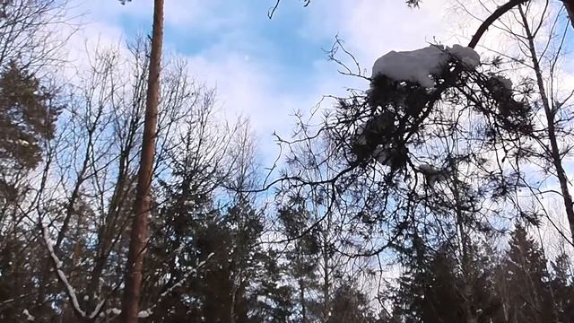 Зимняя сказка смотреть онлайн