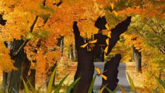 Шаманы "Дух леса". смотреть онлайн