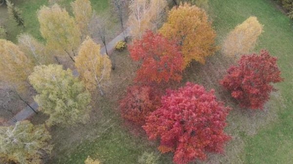 ♫Музыка для релакса #12♫ Time to RELAX?