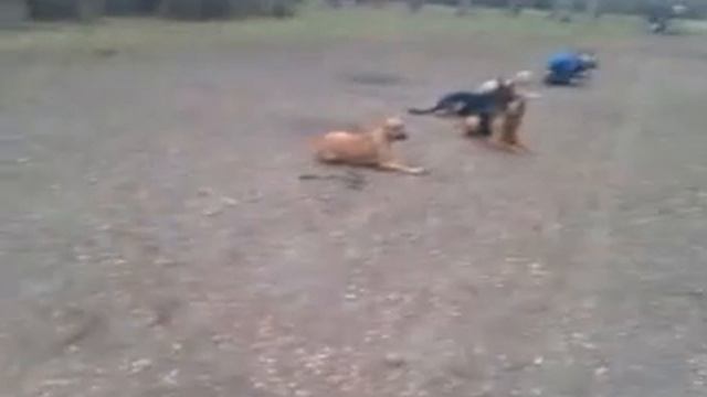 Есть ещё женщины в русских селеньях смотреть онлайн