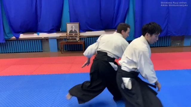 Beautiful Aikido in Ukraine - Shirakawa Ryuji shihan смотреть онлайн