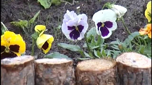 Озеленение и благоустройство смотреть онлайн