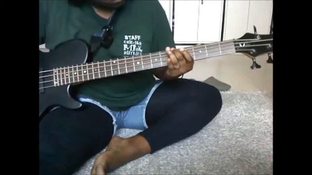 NIN- Hand That Feeds cover (Wannabe Bassist 워너비 베이시스트) смотреть онлайн