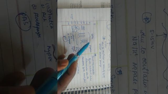 Git Dams Notes Page 1 Concept смотреть онлайн