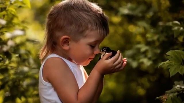 Тарасовы. 35 лет вместе. смотреть онлайн