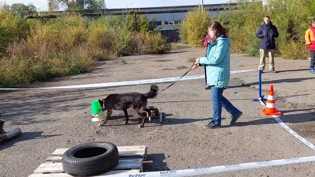 Соревнования по "Ноузворк" Красноярск, сентябрь 2021 год смотреть онлайн