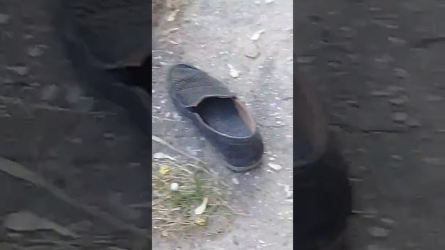 Тапка челендж (НОВЫЙ ЧЕЛЕНДЖ) смотреть онлайн