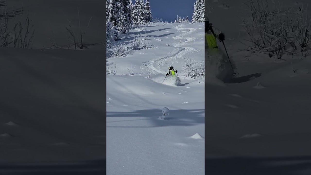 Смогу ли съехать до поселка Шерегеш 4 ноября 2023? смотреть онлайн