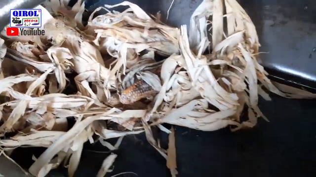 ДКУ. СОМОН. ЯНТОҚ. МАХКА-ЖЎХОРИ. ВА БАРЧА ЧОРВА МАХСУЛОТЛАРИНИ ЯНЧАЙДИГАН ТЕГИРМОН смотреть онлайн