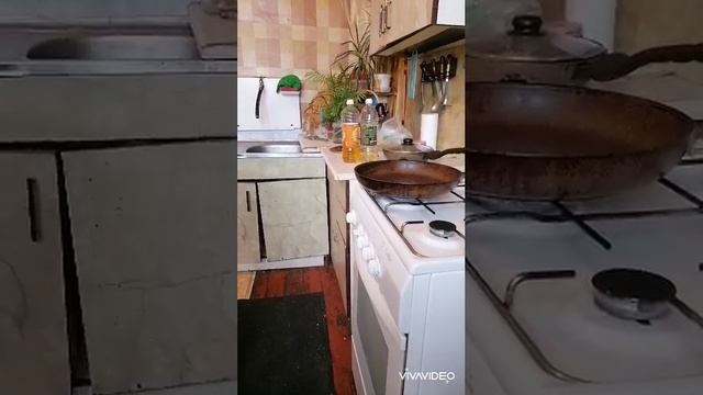 XiaoYing_Video_1700764036152.mp4 смотреть онлайн