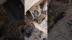 golf 3 замена сайлент блоков задней балки гольф3