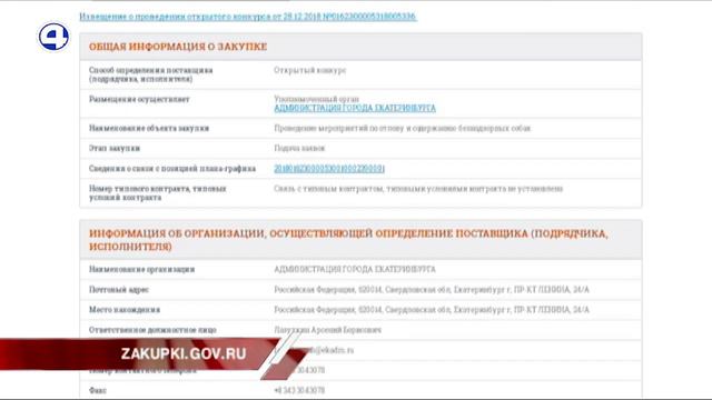 Деньги на отлов собак смотреть онлайн