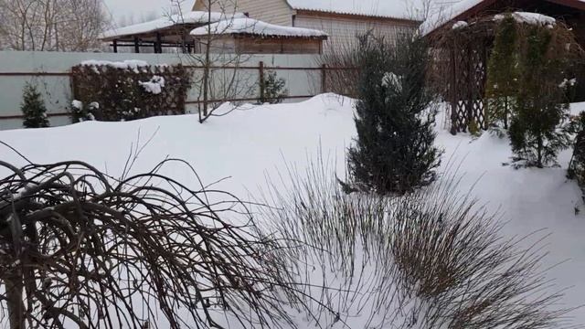 Обзор сада в ФЕВРАЛЕ: снежная зима 2021. смотреть онлайн