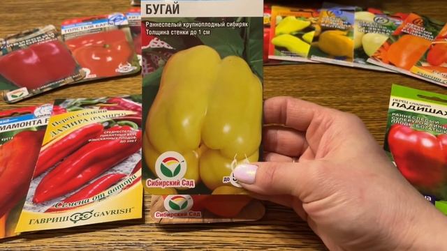 ЭТОТ ПЕРЕЦ ТОЧНО НУЖНО САЖАТЬ! Очень урожайный толстостенный, вкусный! Сезон 2022г смотреть онлайн