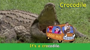 Favorite Animal Song | Wild Animals for Kids | Original Songs by Matt | Learning English