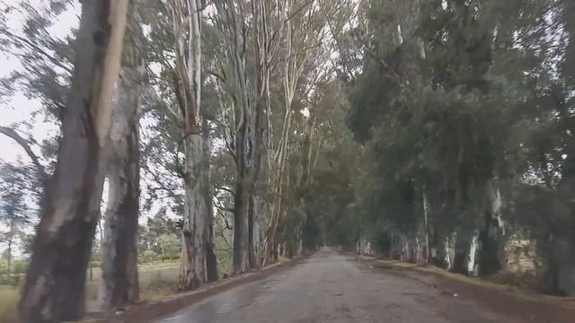 Akyaka azmak turu - Muğla Akyaka смотреть онлайн