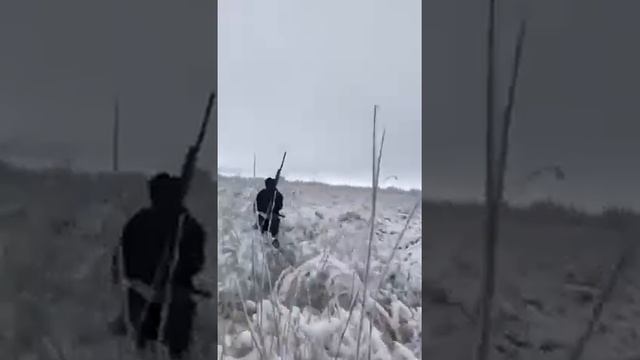 Охота на фазана смотреть онлайн
