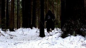 Нейромонах Феофан   Под драм легко