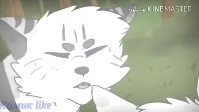 МЕР [коты воители] смотреть онлайн