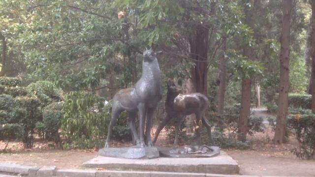 Санаторий Гурзуфский. Корпус "Пушкинский", "Платан". смотреть онлайн