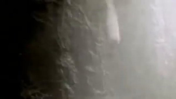 «Арго» ансамбль Иверия