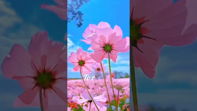 Transforming Tomorrow: The Gift Of Today's Opportunity