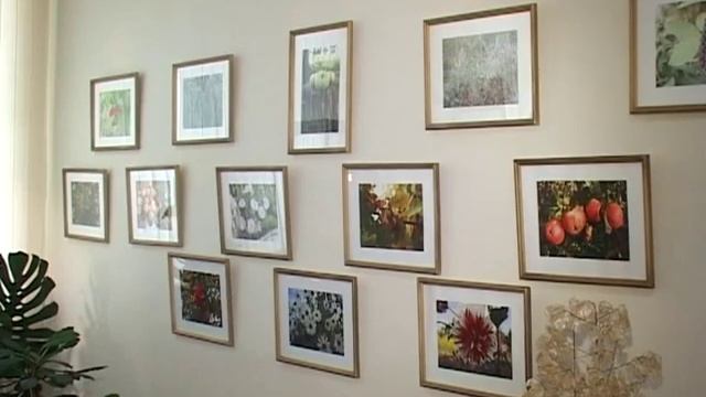 Выставка забавных вязаных кукол в центральной библиотеке смотреть онлайн