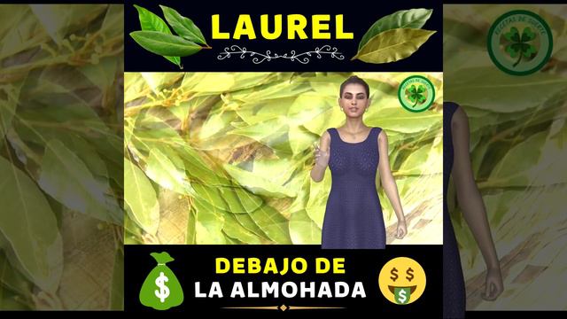 Laurel debajo de la almohada @recetasdesuerte #recetasdesuerte смотреть онлайн