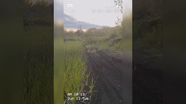 Наши покатушки с другом?EMK-7 300 и Racer Panther 300 ?Эндуро??? смотреть онлайн