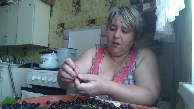 Перебираю черную смородину/Болталка. смотреть онлайн