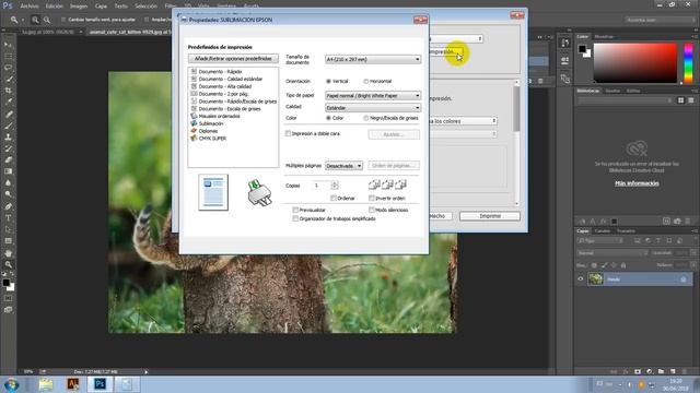 Photoshop. Ajustes para sublimar imagenes CMYK. Curso Sublimación. смотреть онлайн