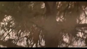 Михаил Пришвин   Кладовая Солнца