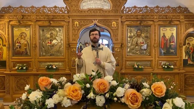 Как можно говорить о приближающемся Царстве Божием в мире, который полон зла? смотреть онлайн