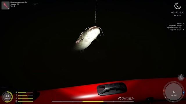 Проверил яму на Ахтубе. СОМ / Со дна Русской рыбалки. ( Русская рыбалка 4 ) смотреть онлайн