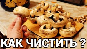 Как чистить свежие грибы шампиньоны для жарки ?