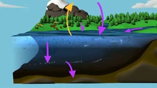 Превращения углерода в природном цикле смотреть онлайн