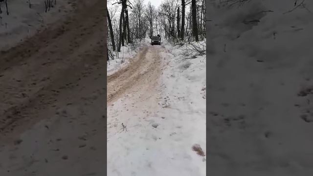 Тип тяв смотреть онлайн