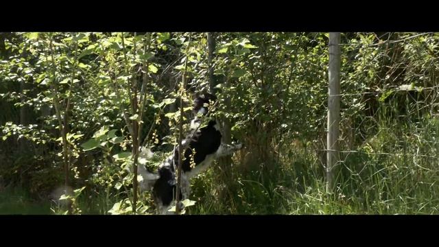 MY NEW PANASONIC LUMIX G80 CAMERA! (4K) смотреть онлайн