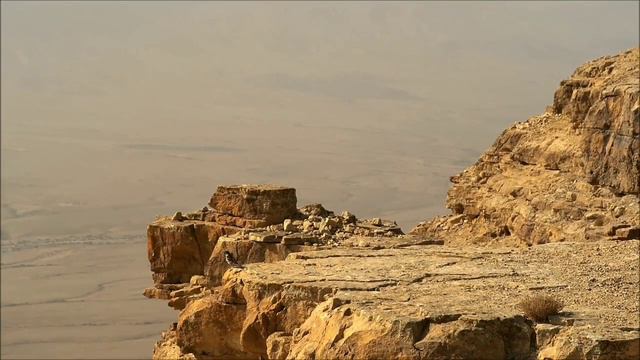 Библейская история избранного народа! Евгений от Луки 16. Богатый и Бедный. 🙏 смотреть онлайн