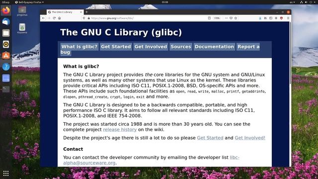 Alpine Linux: Малыш, который потеснил Ubuntu