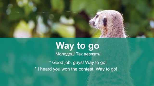 WAY TO GO - 🔸 актуальные английские идиомы, учим англий смотреть онлайн
